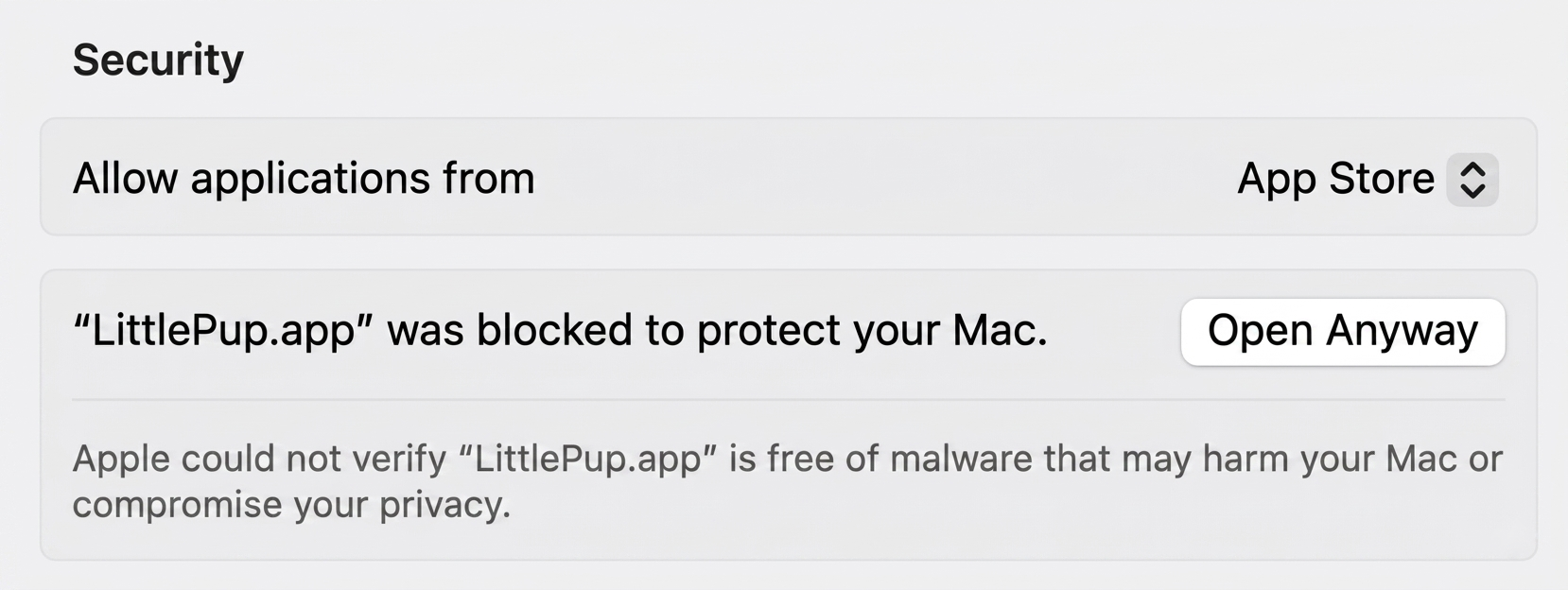 Click "Open Anyway"